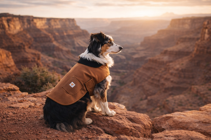 Winter Cozy™ Dog Cold-Weather Essential